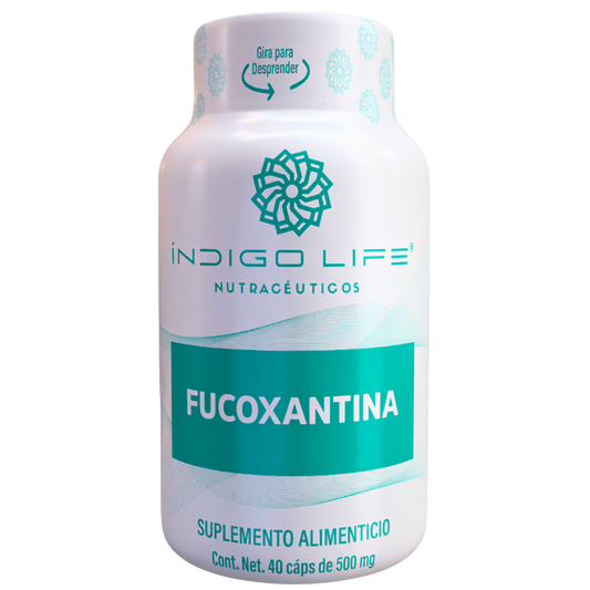 Fucoxantina 40 Cápsulas Veganas de 500 mg