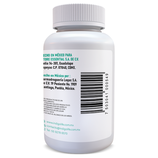 BERBERINA 60 CAPS VEGANAS DE 500 MG