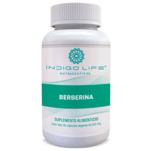 BERBERINA 60 CAPS VEGANAS DE 500 MG